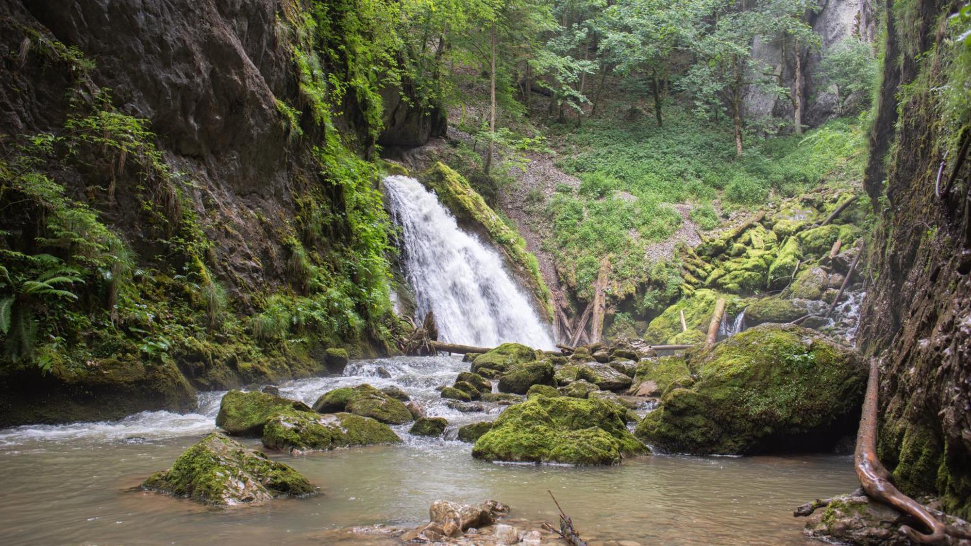 Hotel Apuseni Park Padis Budureasa Exteriér fotografie